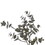 Vickerman EF227522 22" Artificial Grn Gry Eucalyptus Wreath, Price/each