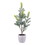 Vickerman EH213519 19" Blue Spruce Sapling Potted
