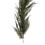 Vickerman EH214062 62" Green Cedar Garland