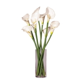 Vickerman White Callas Lily's in Glass Cylinder