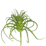 Vickerman Plastic Grass-Frosted Green 6/Bag