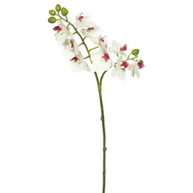 Vickerman 35" Real Touch Orchid