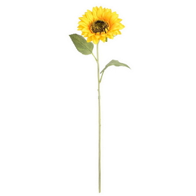 Vickerman Yellow Sunflower Stem 6/Pk