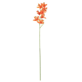 Vickerman 32" Orchid Stem 6/Pk