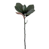 Vickerman FA240724 24" Artificial Green Magnolia Spray With 6 Leaves. Includes Four Pieces Per Bag.