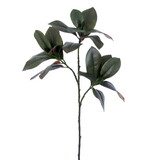 Vickerman FA240735 35" Artificial Green Magnolia Branch 2/Bag.