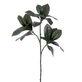 Vickerman FA240735 35" Artificial Green Magnolia Branch 2/Bag.