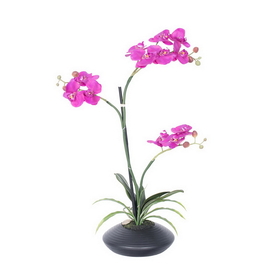 Vickerman 25" Potted Orchid fls x 2-