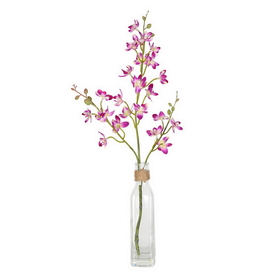 Vickerman 20.5" Mini Orchid in Glass Pot