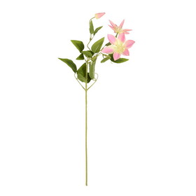 Vickerman 25" Clematis Stem 6/Pk