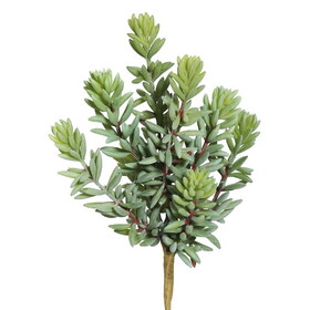Vickerman 8" Artificial Green and Red Sedum Pick Set of 3