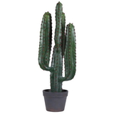 Vickerman Green Finger Cactus in Gray/Red Pot