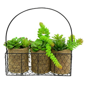 Vickerman 11" Artificial Assorted Succulents in Galvanized Hanger.
