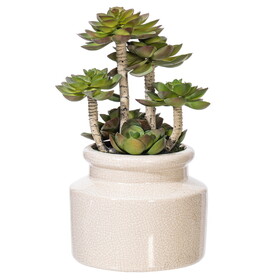 Vickerman 11" Artificial Green Succulent in Round Ceramic Pot.