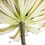 Vickerman 5.5" Artificial Succulent Pick Set of 3