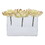 Vickerman 5.5" Artificial Succulent Pick Set of 3