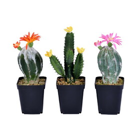 Vickerman 8" Artificial Cactus Black Plastic Planters Pot Set of 3