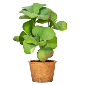 Vickerman 14" Artificial Green Succulent Paper Pot.