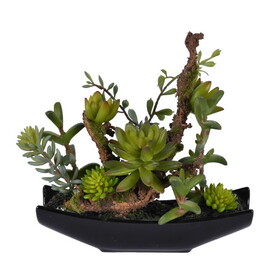 Vickerman 8" Artificial Green Mixed Succulent Ceramic Pot.