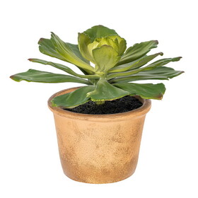 Vickerman 9" Artificial Succulent Paper Pot.