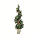 Vickerman Potted Rosemary Spiral