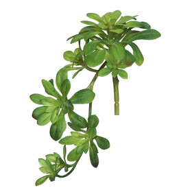 Vickerman 11" Artificial Green Aeonium Spray. Includes 3 sprays per pack.