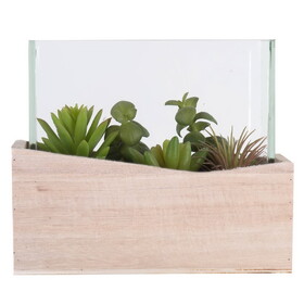 Vickerman 6" Artificial Green Assorted Succulents in Wood Container and Glass Top.