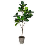 Vickerman Green Potted Fiddle Tree