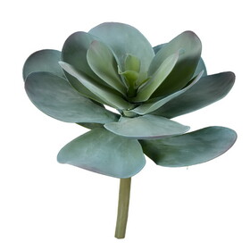 Vickerman 12" Artificial Giant Blue Kalanchoe Stem.