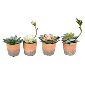 Vickerman Set of 4 Assorted 7" Artificial Potted Succulents Set of 4