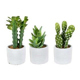 Vickerman Set of 3 Assorted 7" Potted Artificial Cactus Plants Set of 3