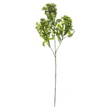 Vickerman 31.5
