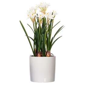 Vickerman 16.5" Artificial White Daffodil in Ceramic Pot.