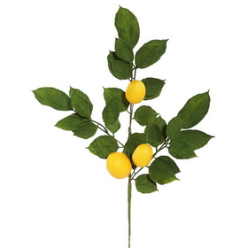 Vickerman 20" Green Salal Leaf Lemon Spray 4/Pk