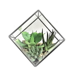 Vickerman Green Succulents Diamond Terrarium