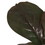 Vickerman FM223502 11" Red Green Fiddle Leaf Fig Plant, Price/each