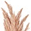 Vickerman FM224954 51" Light Gold Reed Spry 2/Bndle, Price/each