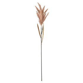Vickerman 51" Light Gold Reed Spry 2/Bndle