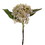 Vickerman FM229713 13" White Dried Hydrangea Pick 3/Bag