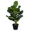 Vickerman FM229728 27.5" Green Fig Tree In Pot, Price/each