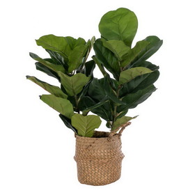 Vickerman FM229732 31.5" Green Fig Tree In Pot