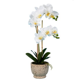 Vickerman 23" Artificial White Phalaenopsis In Pot.