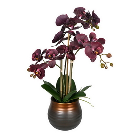 Vickerman 22" Phalaenopsis In Pot