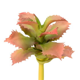 Vickerman 5" Artificial Red and Green Adromischcus Pick Set of 3