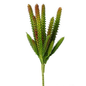 Vickerman 8.5" Artificial Green Cactus Pick Set of 3