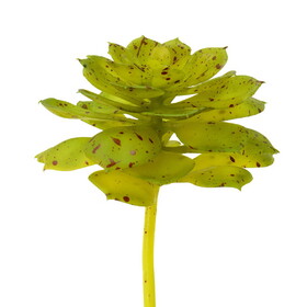 Vickerman 6" Artificial Green and Brown Spotted Echeveria Pick Set of 3