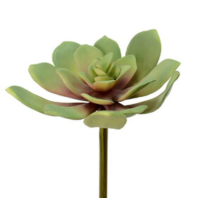 Vickerman 5.5" Artificial Green Echeveria Pick Pack of 3