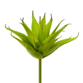 Vickerman Green Aloe Pick 3/Pk