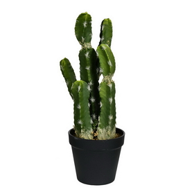 Vickerman Green Potted Cactus