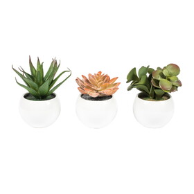 Vickerman 5" Artificial Assorted Potted Succulents.